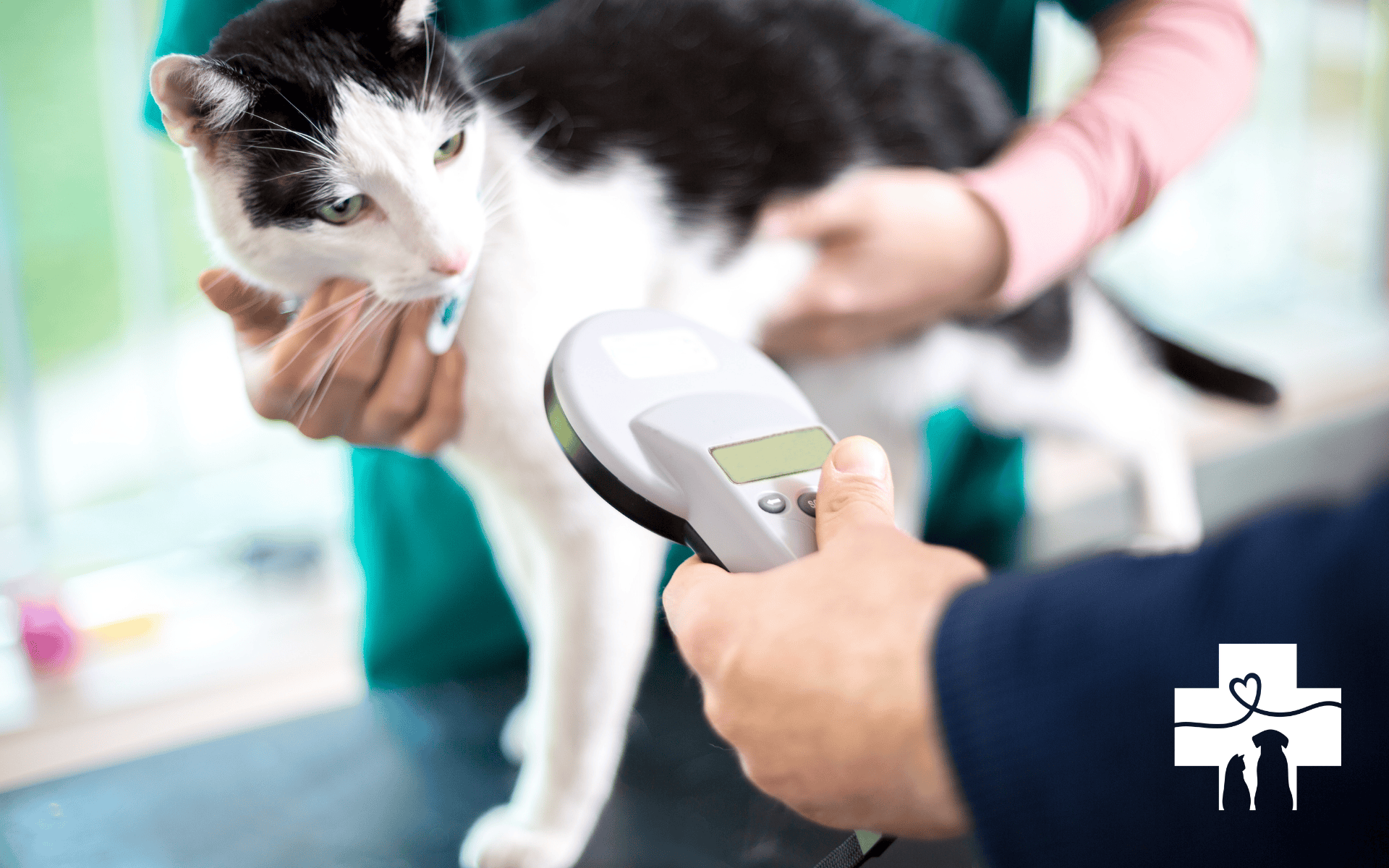 pet microchips