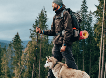 Dog Exercise Tips: How to Hike With Your Hound